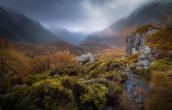Mountains, New Zealand, haze