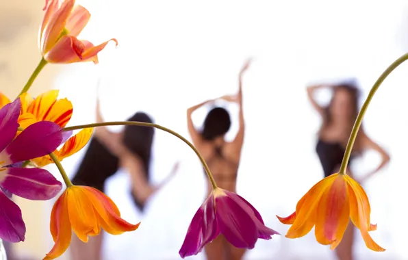 Girl, flowers, mood, tulips, bokeh