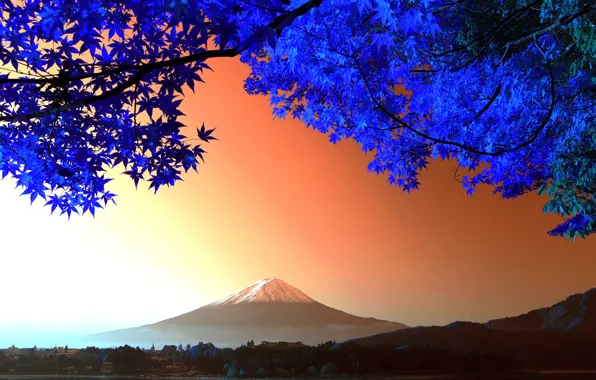 Picture leaves, tree, mountain, Japan, Fuji