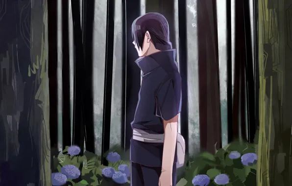 Picture forest, thickets, Naruto, art, Uchiha Itachi