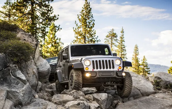 Clouds, Trees, Wheel, Jeep, Wrangler, Jeep, Rubic, Unlim