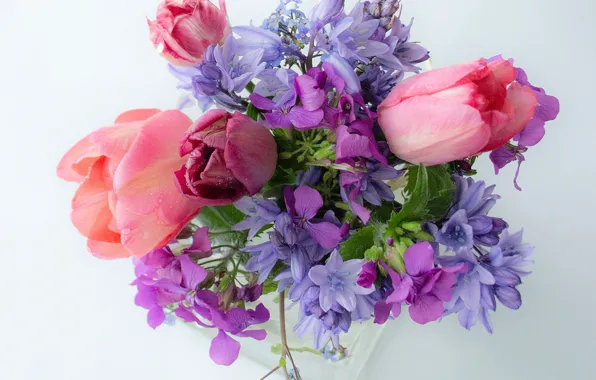Bouquet, tulips, bells, light background, forget-me-nots, honesty