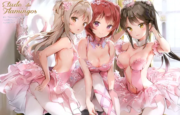Neckline, corset, friend, pink dress, ballerina, ballerinas, three girls, by Anmi