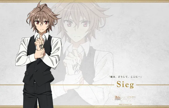 Guy, Fate - Apocrypha, Fate Apocrypha, homuncul, Zig