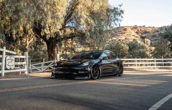 Black, Tesla, Model 3 Performance