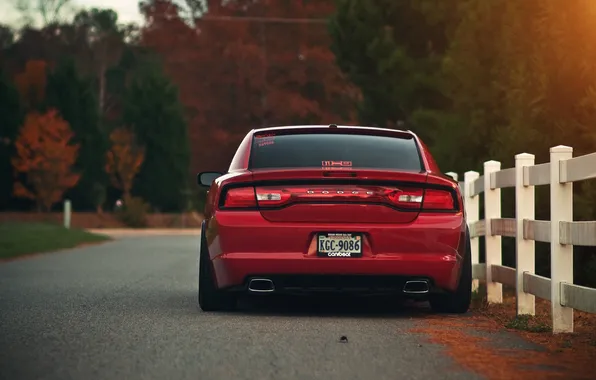 Picture red, red, Dodge, dodge, charger, back, the charger, R/T
