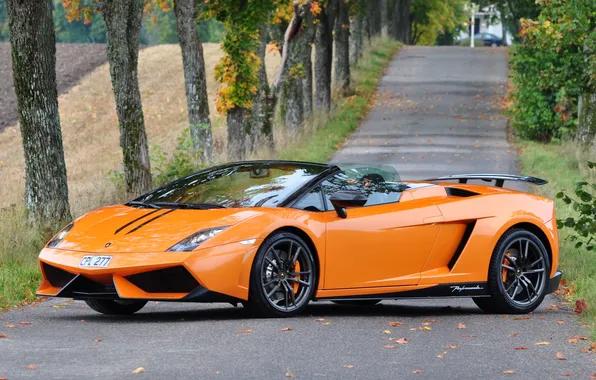 Picture road, trees, gallardo, lamborghini, spyder, lp 570-4