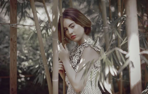 Summer, look, face, background, bamboo