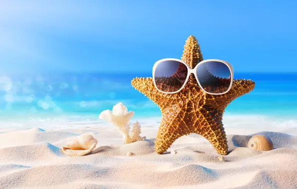 Sand, sea, beach, summer, star, vacation, glasses, shell