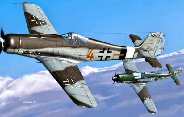 Picture Dora, Military Aircraft, Fw.190D-9, "Schlageter", II./JG26