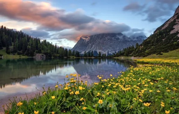 Flowers, mountains, shore, pond, buttercups