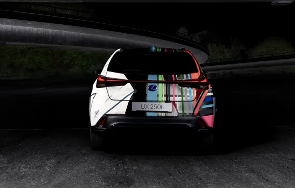 Lexus, rear view, crossover, 2019, F SPORT, By Rene Turrek, UX 250h