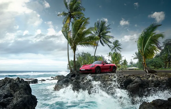 Wave, palm trees, the ocean, rocks, Porsche