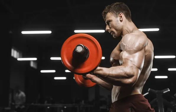 Pose, muscle, muscle, rod, athlete, biceps, gym, bodybuilder