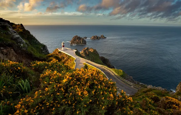Road, sea, landscape, sunset, flowers, nature, rocks, lighthouse