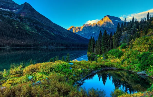 Picture autumn, forest, mountains, reflection, river