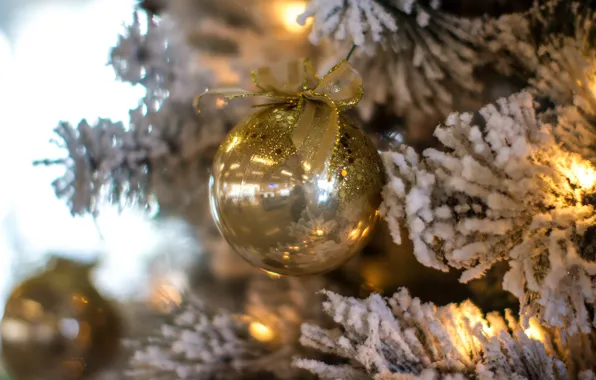 Picture winter, frost, balls, branches, holiday, balls, Shine, tree