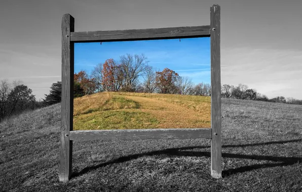 Picture field, nature, frame