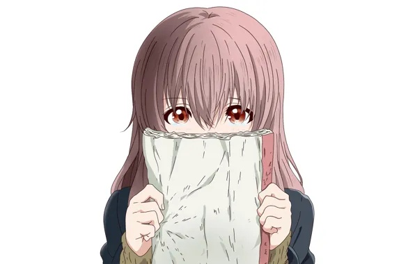 Look, girl, notebook, hid, Form voice, You No Katachi