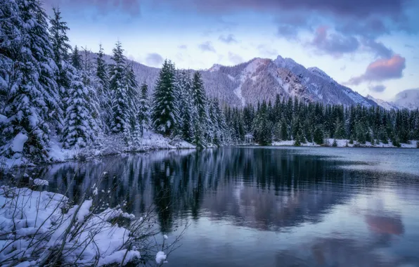 Winter, forest, mountains, lake, pond, ate, Washington, The cascade mountains