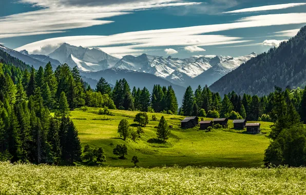 Greens, field, forest, the sky, clouds, snow, mountains, the slopes
