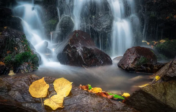 Autumn, leaves, nature, stones, waterfall
