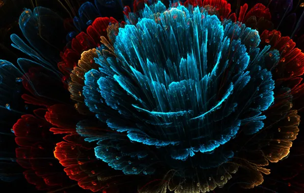 Petals, red, flower, blue