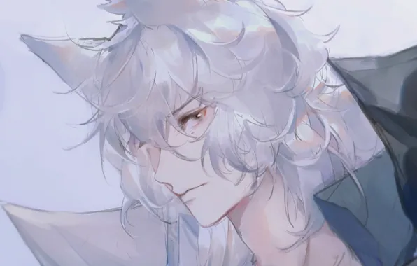 Fox, guy, Arknights, SilverAsh