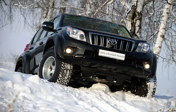 Picture winter, snow, lights, jeep, SUV, birch, toyota, the front