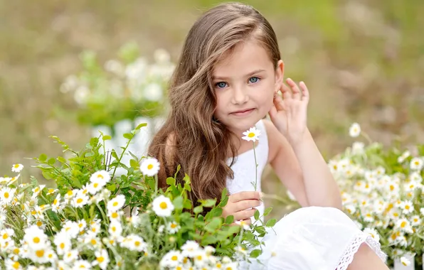 Summer, look, flowers, children, girls, little, little girl, Daisy