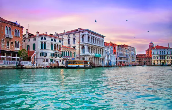 Picture Venice, The Grand canal, Venice, Italy, home, Italia, the evening, building