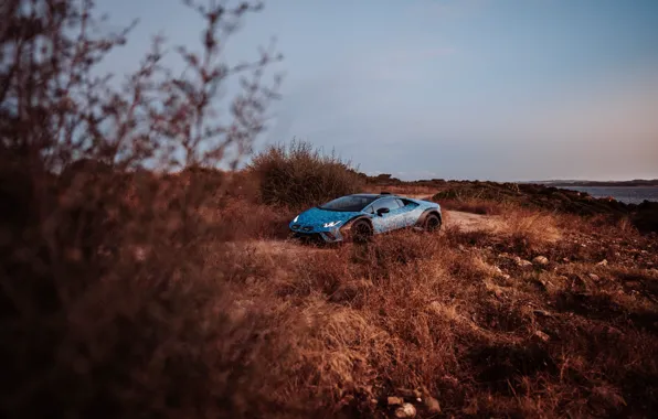 Lamborghini, off-road, Huracan, Lamborghini Huracan Sterrato Opera Unica