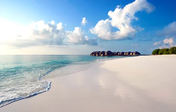 Picture beach, nature, tropics, the ocean, The Maldives