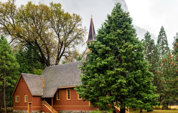 Autumn, trees, fog, rocks, home, CA, USA, USA