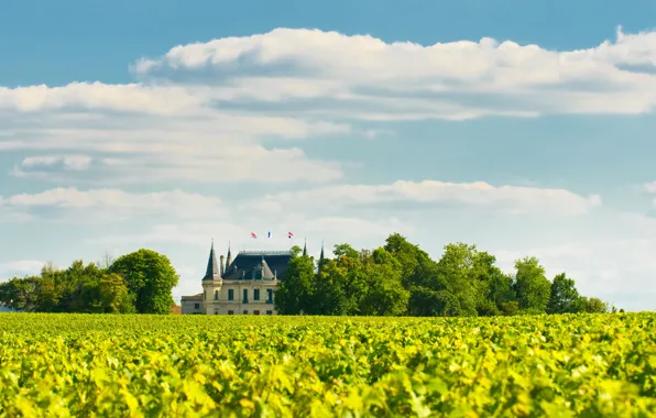 Picture the sky, clouds, France, grapes, flags, the vineyards, samog, Burgundy