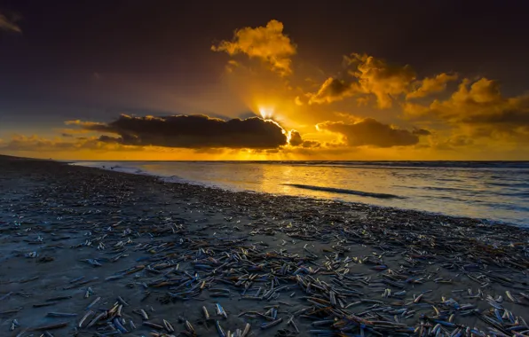 Picture sunset, coast, Netherlands, Holland, North Sea, Noordwijk