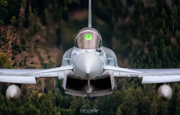Fighter, Pilot, RAF, Eurofighter Typhoon, Cockpit, PGO, ILS, PTB
