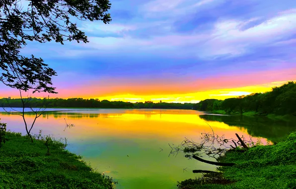 Sun, Water, Sunrise, Dawn, Morning, Lake, Trees, Reflection