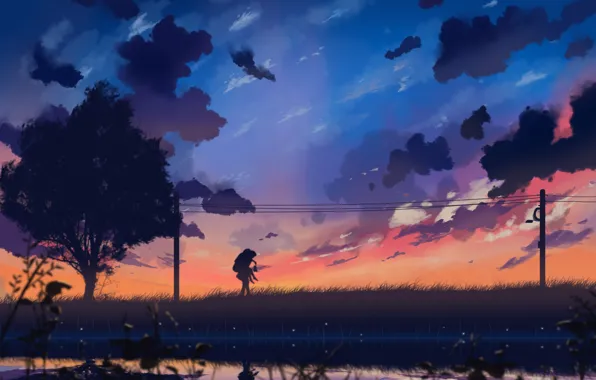 The sky, girl, clouds, sunset, nature, wire, anime, art