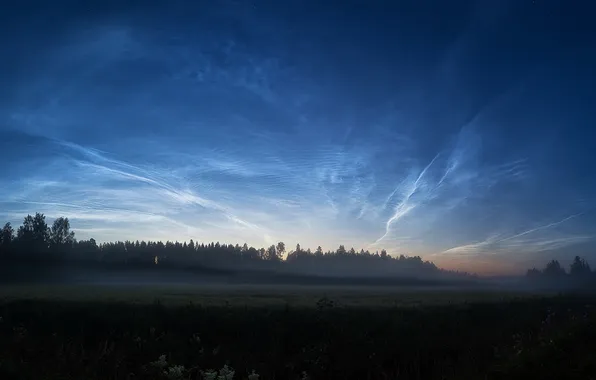 Field, landscape, fog, Night clouds