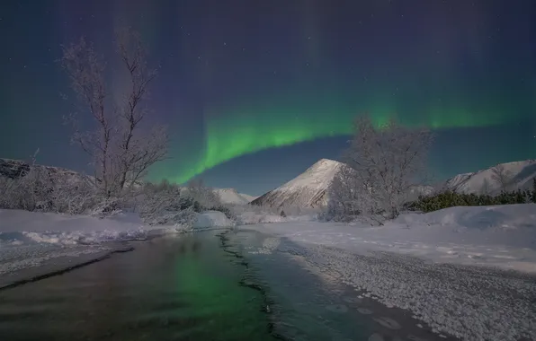 Picture the sky, night, stars, polar lights, Elena Ermolina, Snow Huts