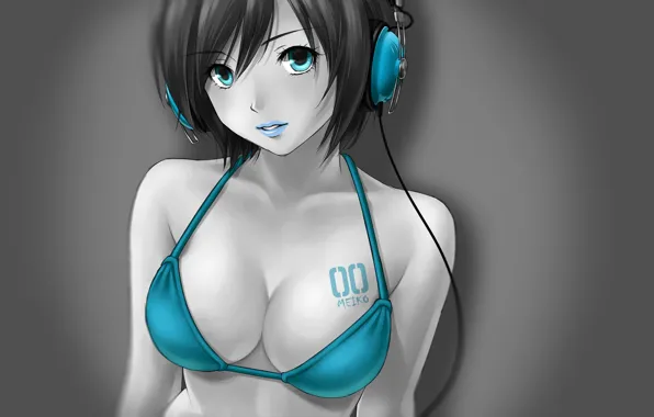 Picture girl, vocaloid, blue, anime, headphones, meiko