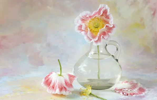 Flowers, Maki, still life, decanter