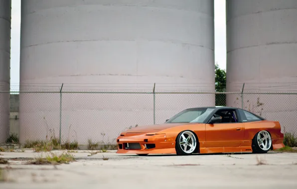 Picture plant, the fence, nissan, Nissan, 240sx