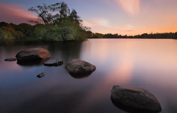 Landscape, night, nature, lake