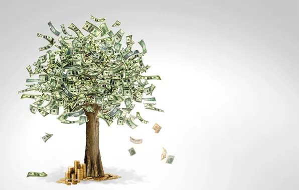 Picture tree, money, currency