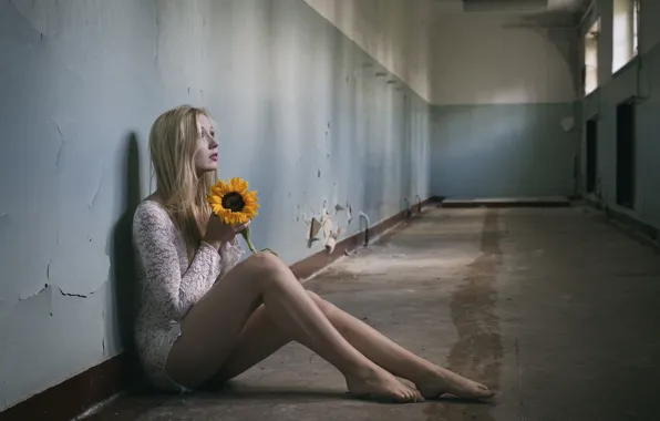 Picture girl, sunflower, blonde, legs
