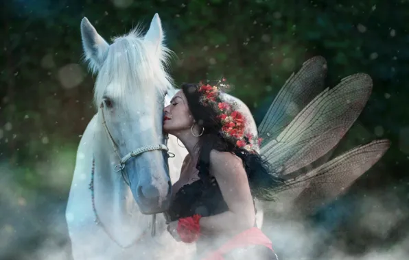 White, look, face, girl, flowers, background, mood, horse