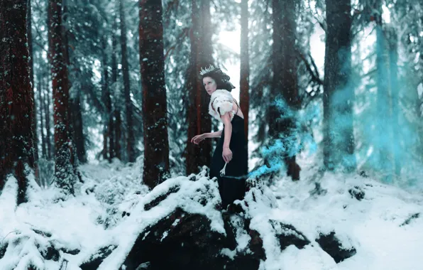 Picture winter, forest, girl, snow, style, makeup, dress, fantasy