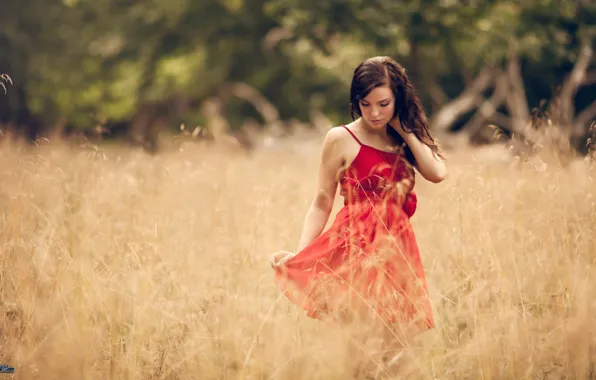 Picture summer, girl, field, nature